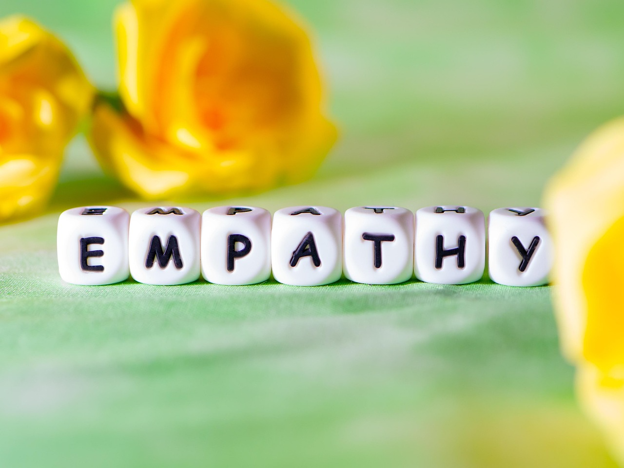 Letter dice spelling empathy